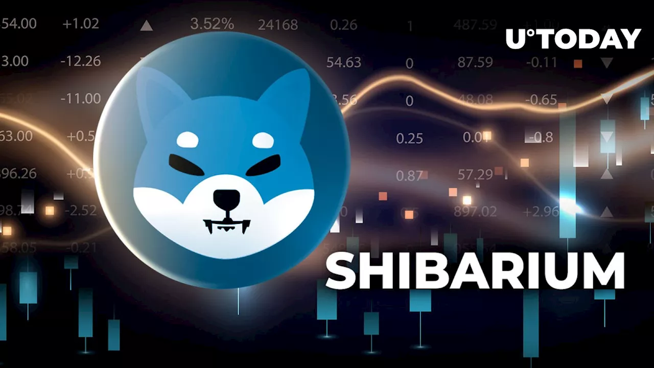 Shiba Inu's Shibarium Witnesses Epic Key Metric Growth