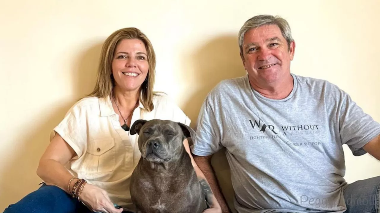 Molly and Peggy: First photo as magpie reunited with canine besties Peggy and Ruby