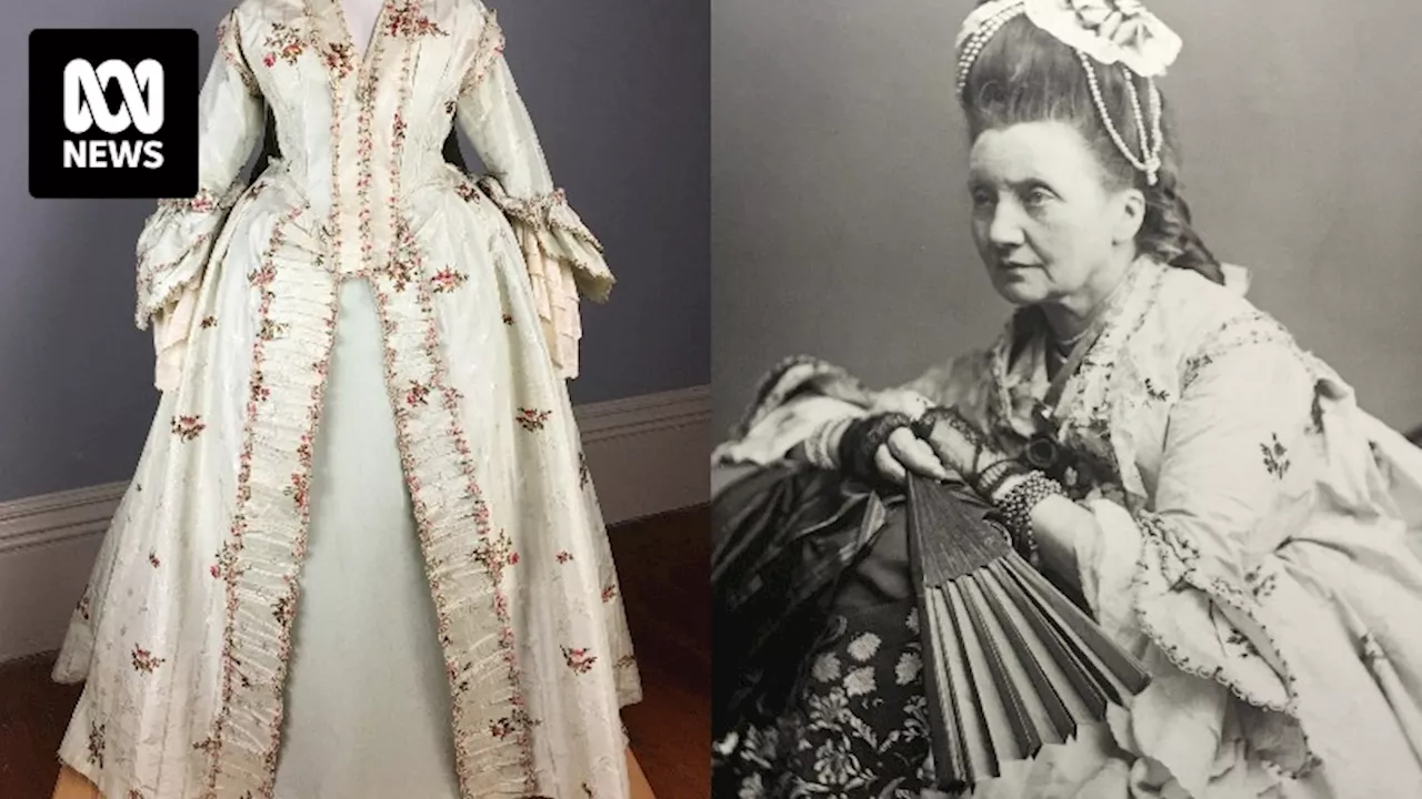 Tasmania's oldest dress owned by artist Louisa Anne Meredith an 'exquisite piece of history'