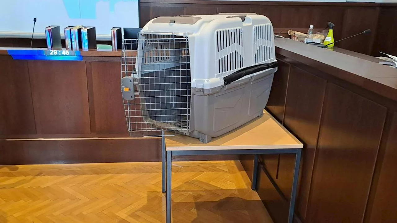 Kind in Hundebox gesperrt: Schmerzensgeld vom Land verlangt