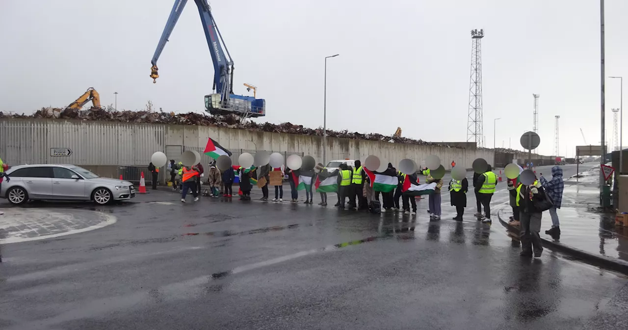 Activists Gather at Belfast Docks in Support of Palestine