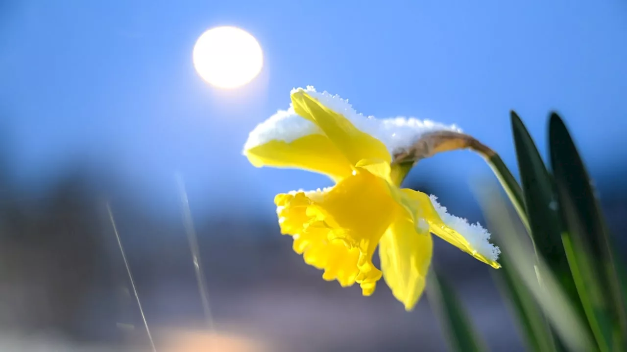 April-Wetter: Schauer, Gewitter und sogar nasser Schnee