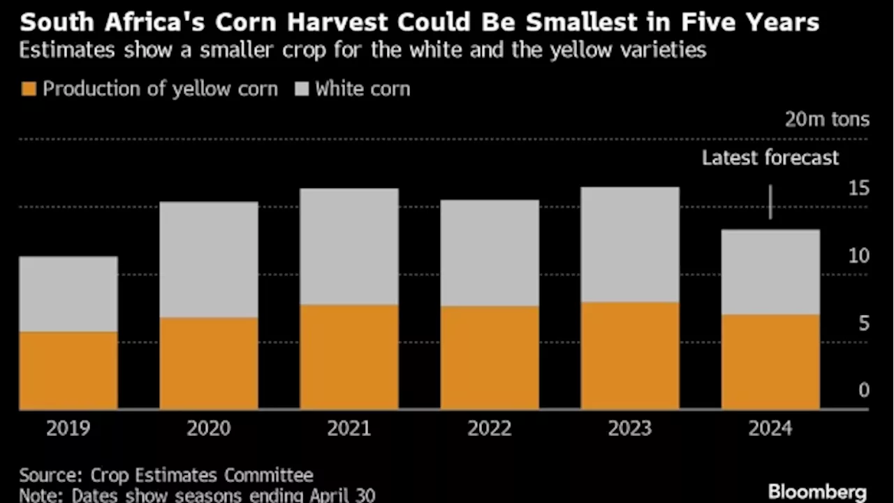 El Niño Drives Southern African Millers to Seek Brazilian Corn