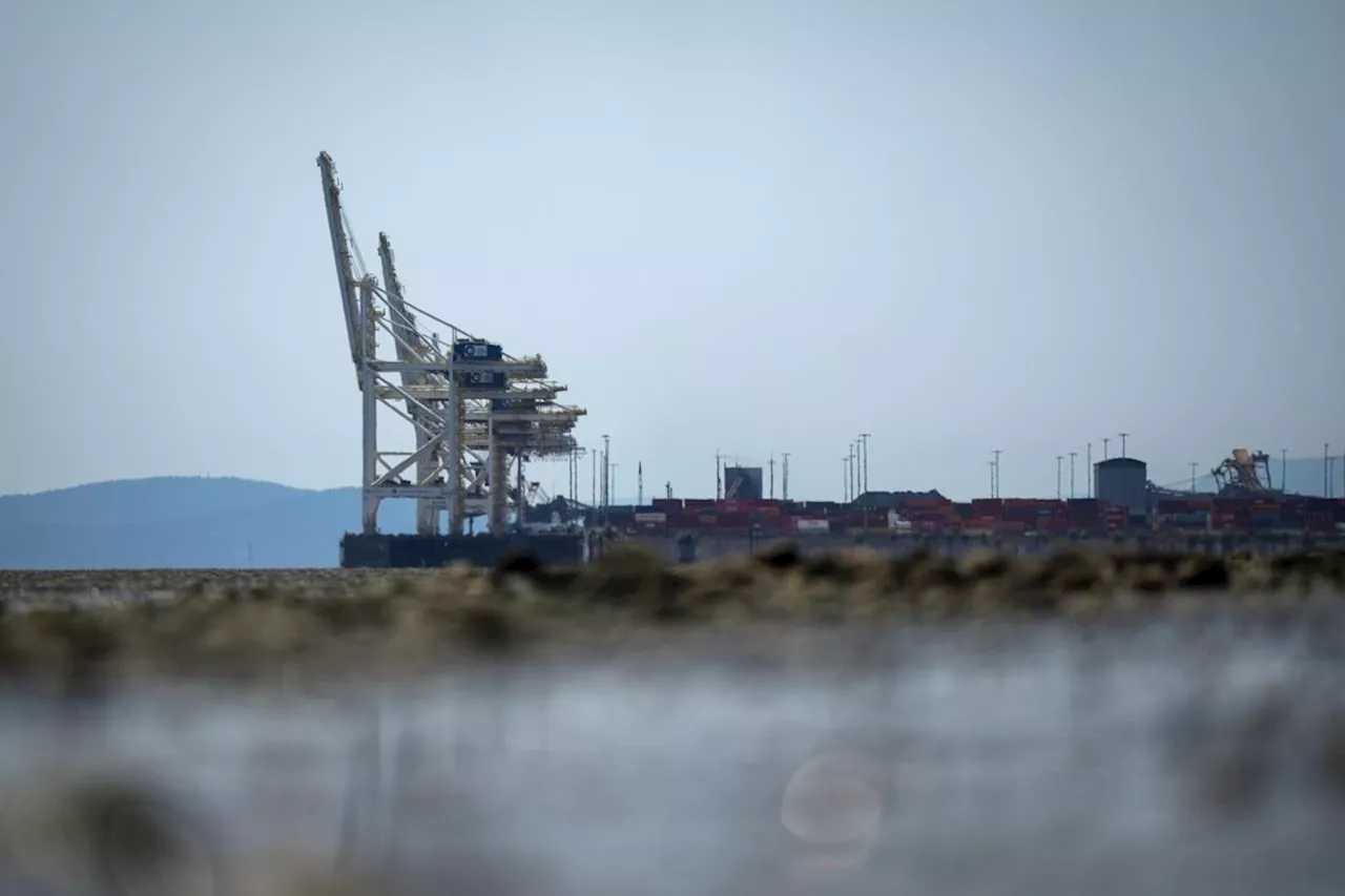 Pro-Palestinian protesters block access to container port in Metro Vancouver