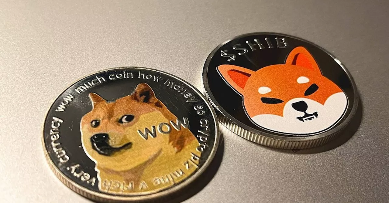 Sticky Liquidity in DOGE and SHIB Suggests Meme Tokens Have Staying Power