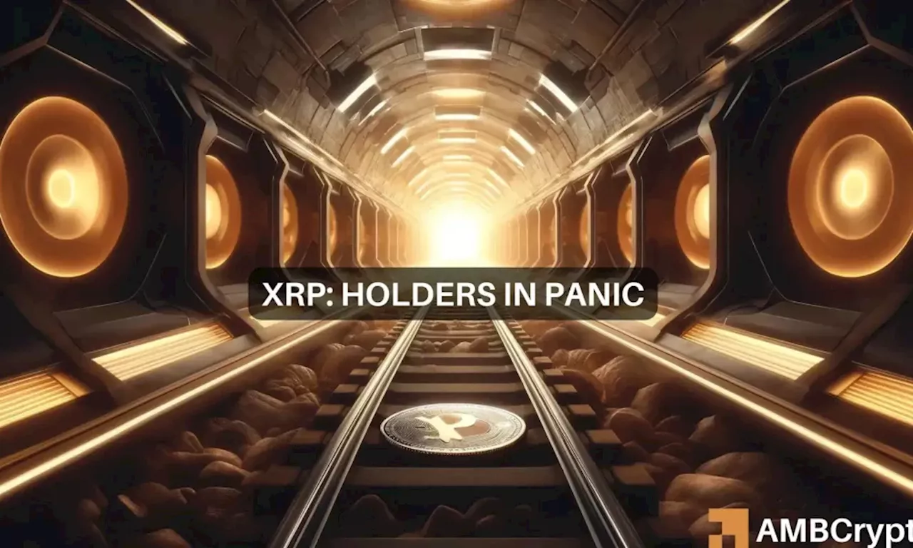 XRP Price Plunges by 32% in Biggest Drop of 2024