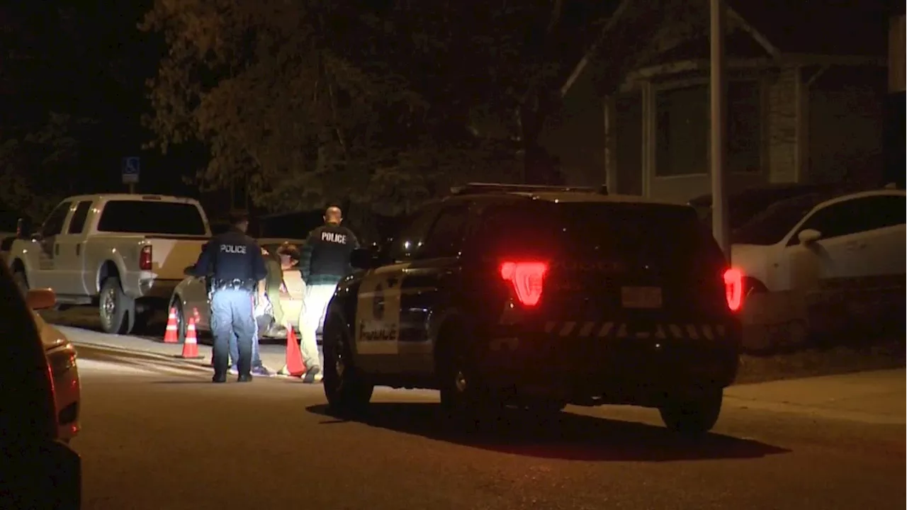 Calgary police investigate shots fired in Taradale