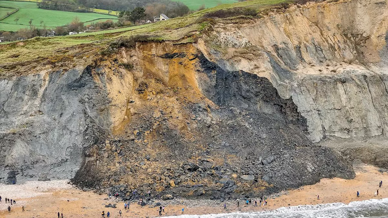 Family run for their lives as terrifying rockfall on Dorset beach sends hundreds of tonnes of shale...