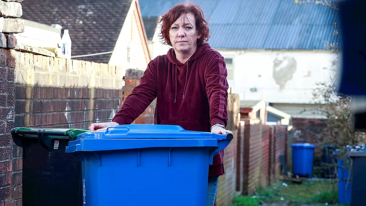 Public spirited resident who reported fly-tipping to her council is fined £400 after petty local...