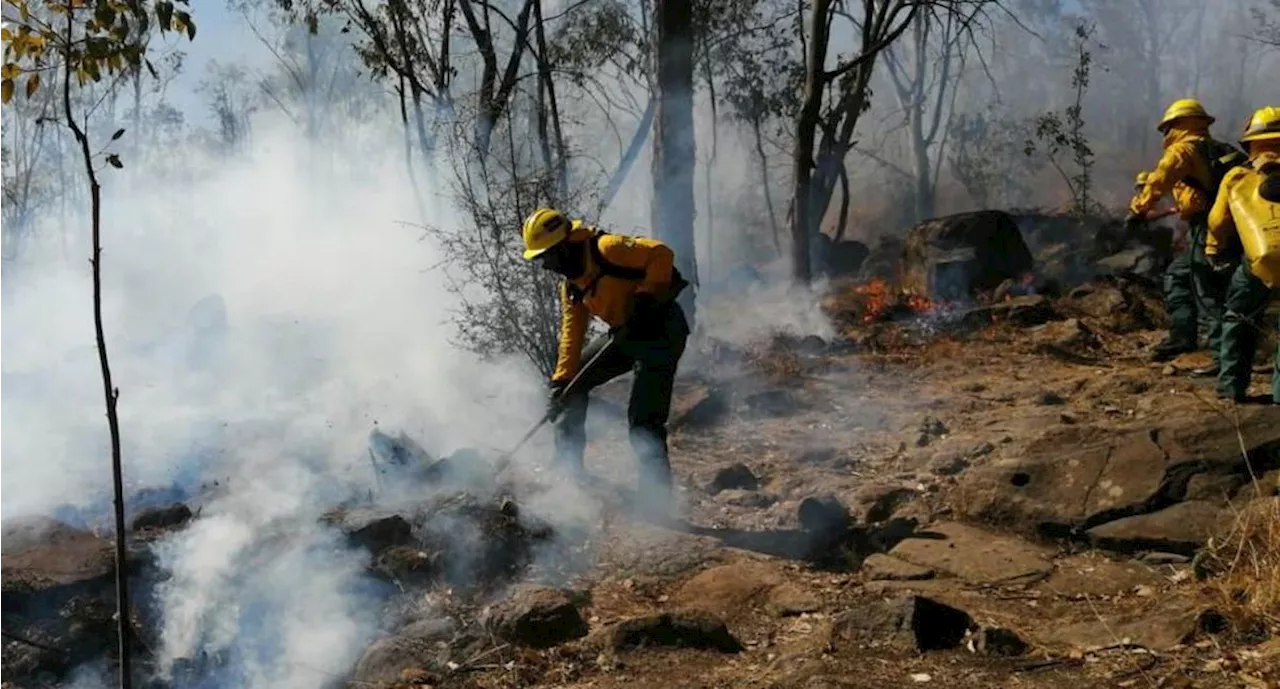 Activan alerta atmosférica en Zapopan por incendio forestal en el Bosque La Primavera