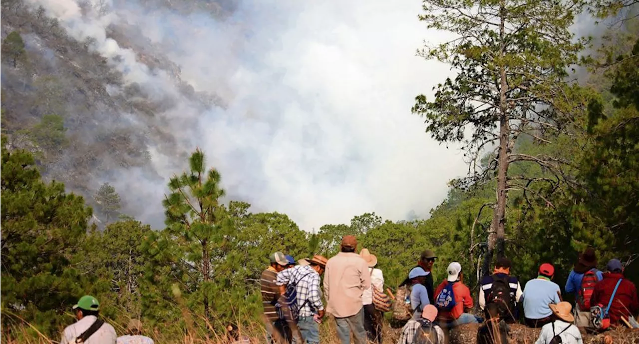 Sufre Oaxaca por incendios provocados