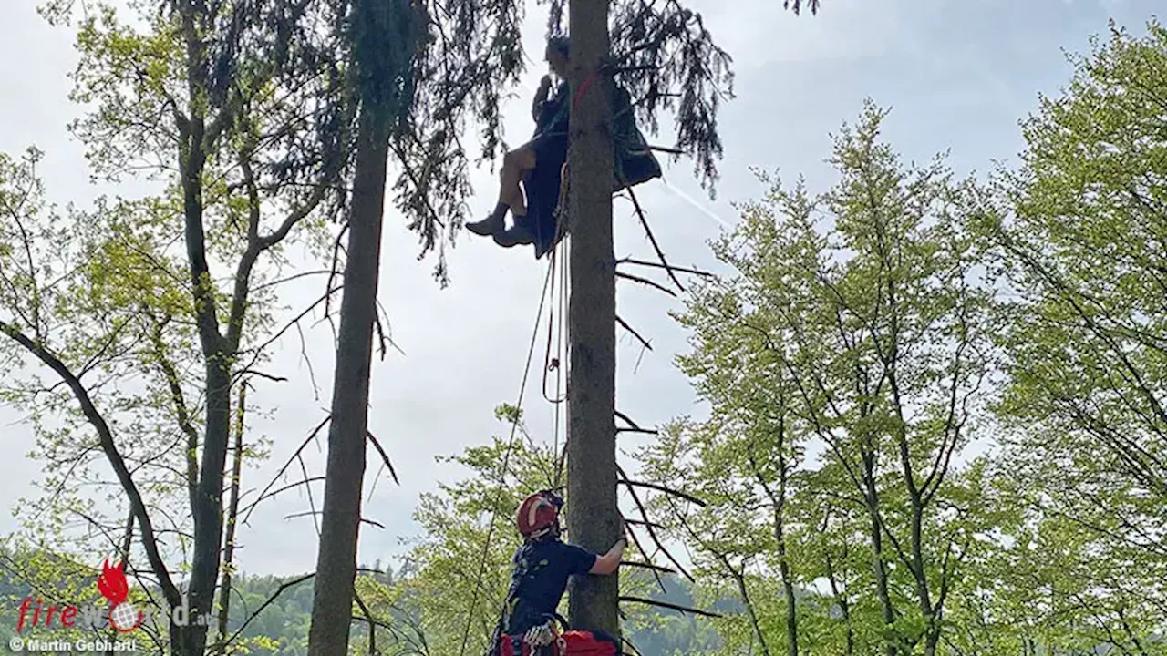 Oö: Paragleiterrettung aus Baum in Hofkirchen im Mühlkreis