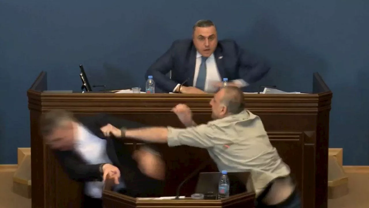 Chaos in Georgian Parliament as Ruling Party Leader is Punched