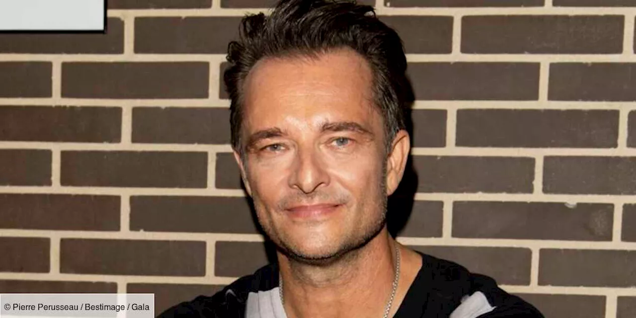 Une fan de David Hallyday victime d'une arnaque sur les réseaux sociaux