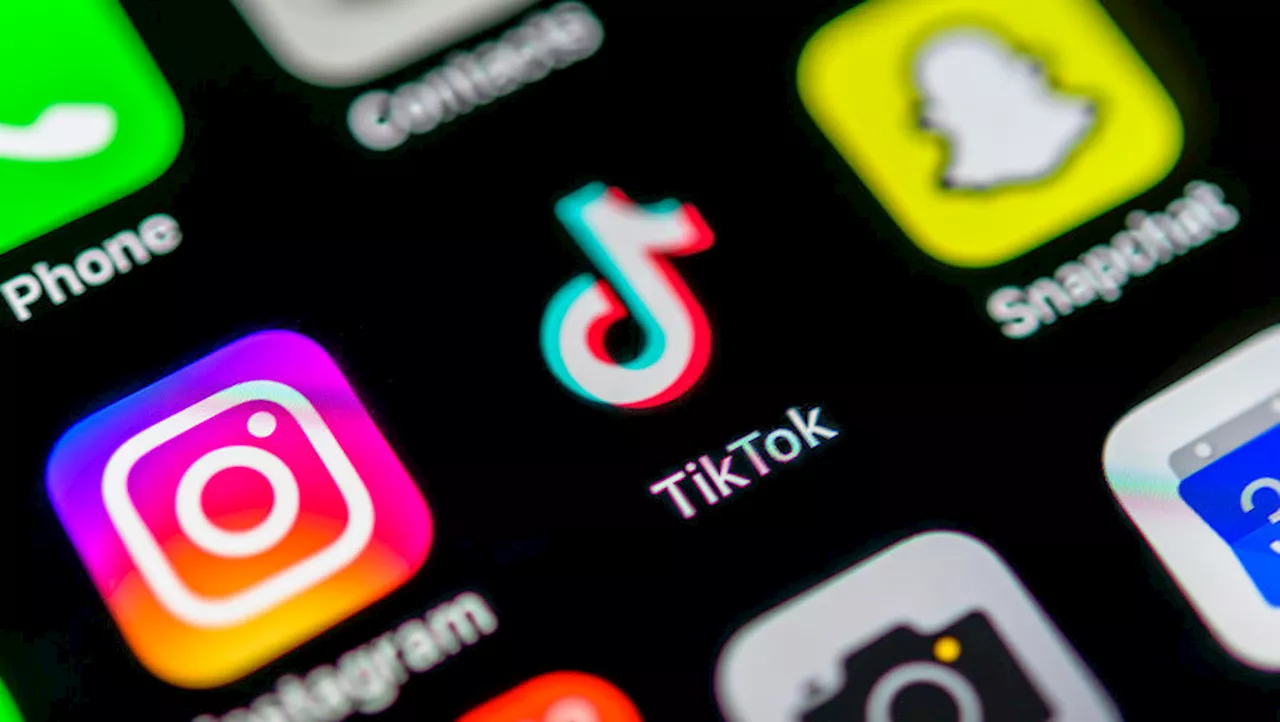 На Украине заблокируют 83 российских TikTok-канала