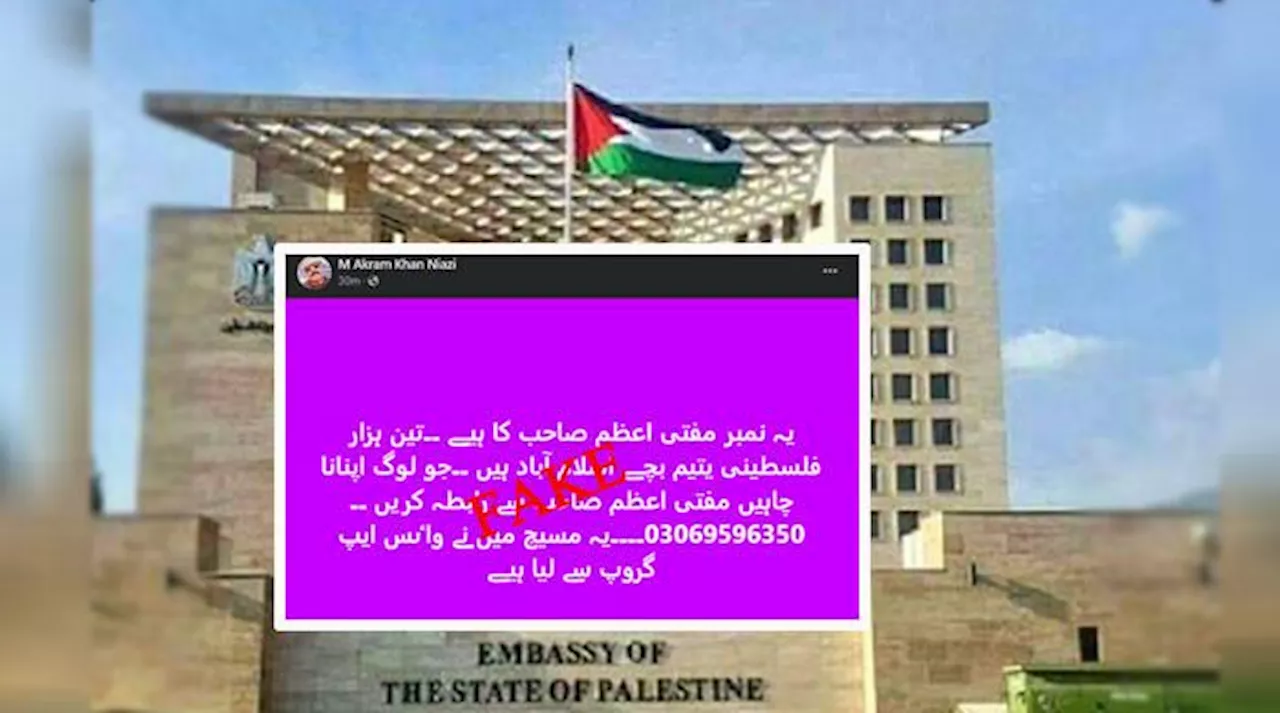 پاکستان میں کوئی فلسطینی یتیم نہیں آیا، سوشل میڈیا کی افواہوں پر فلسطینی سفارتخانےکا بیان