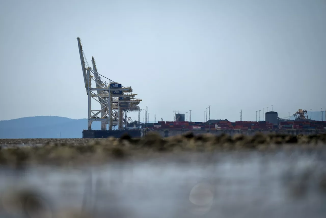 Protesters Cause Disruption at Global Container Terminals in Delta