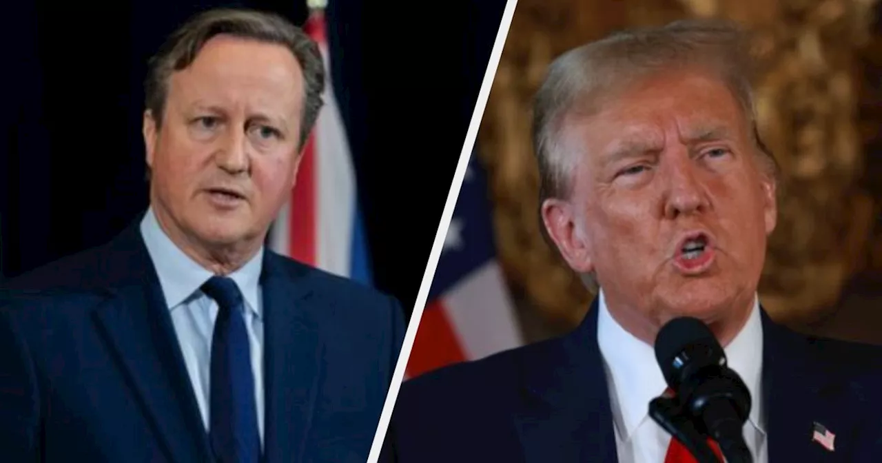 Donald Trump Did Not Mention Me Calling Him 'Misogynistic And Stupid', Says David Cameron