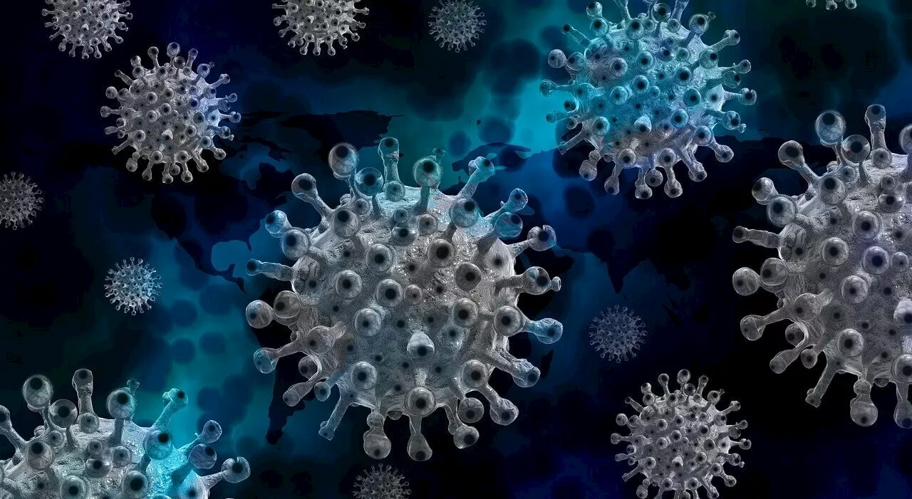 Virus B trasmesso dalle scimmie, i medici: «Alto rischio di mortalità». Casi, sintomi e cure