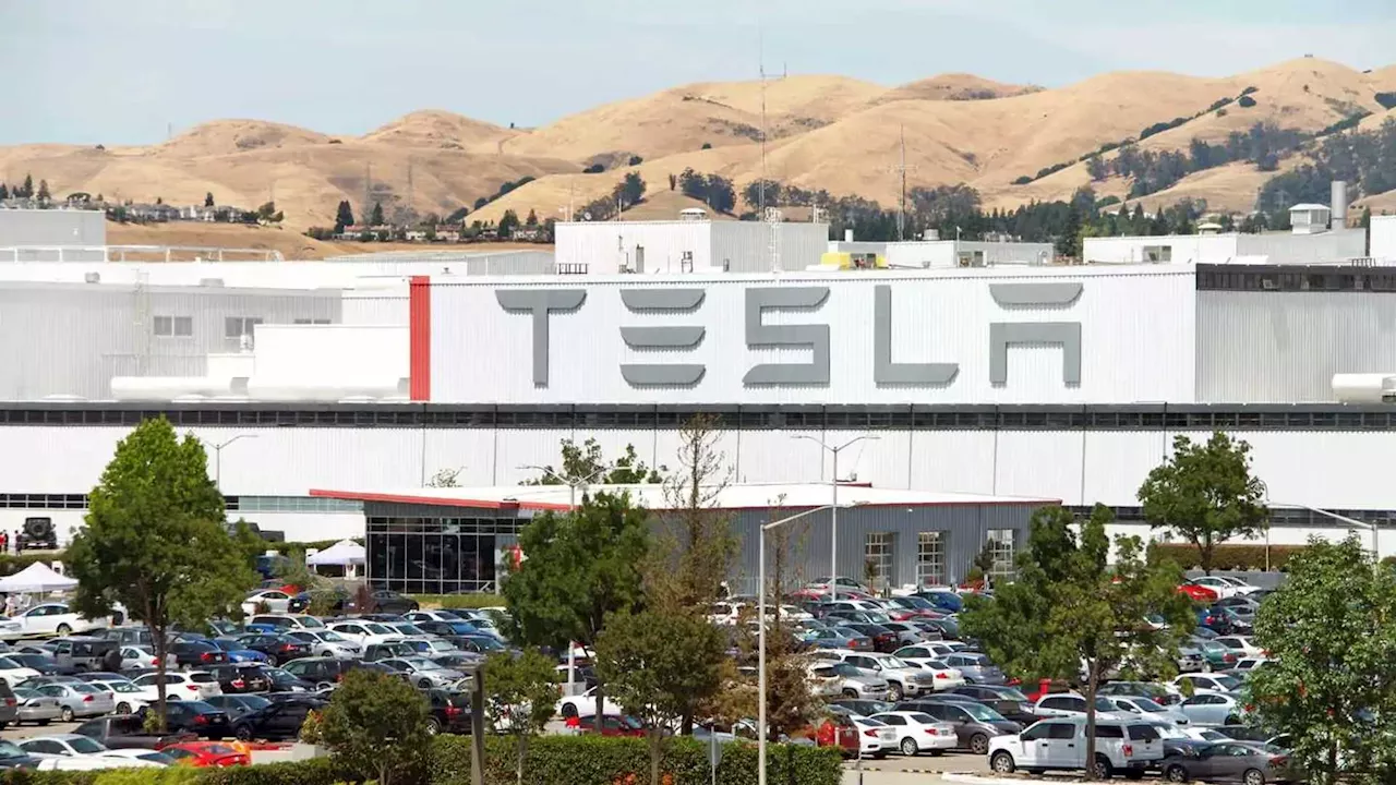 Tesla's Senior Vice President of Powertrain and Energy Leaves Amidst Layoffs