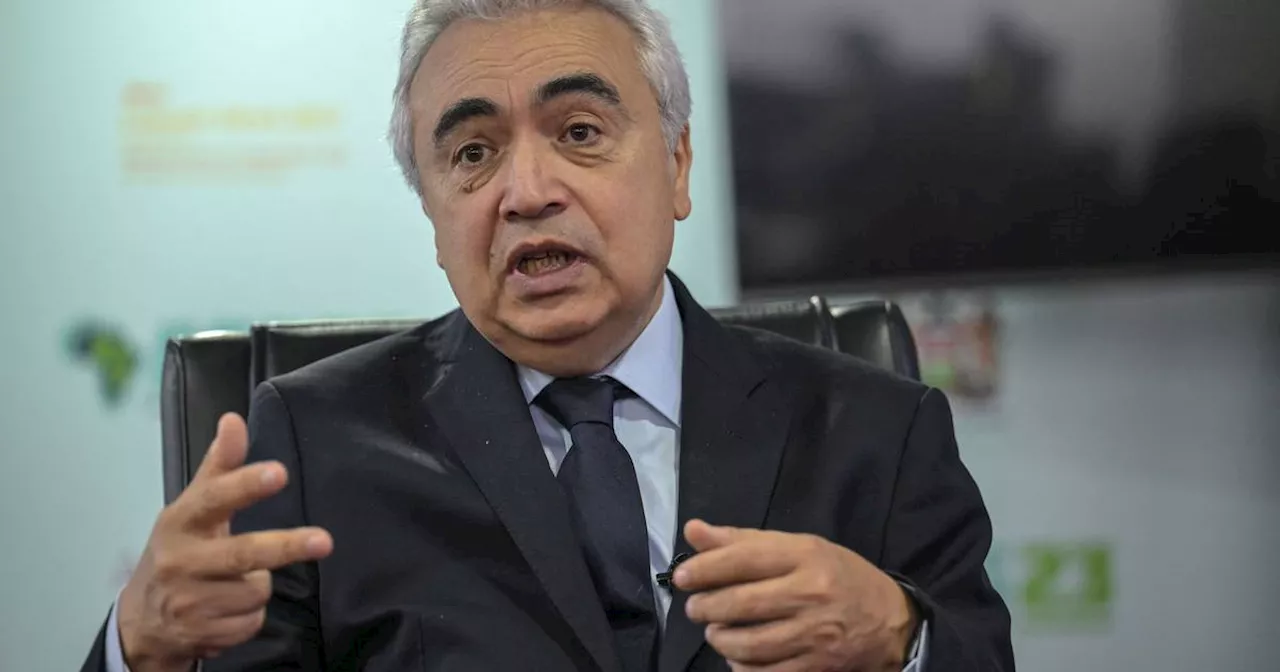 EU trails China and US after ‘monumental’ energy mistakes, IEA chief says