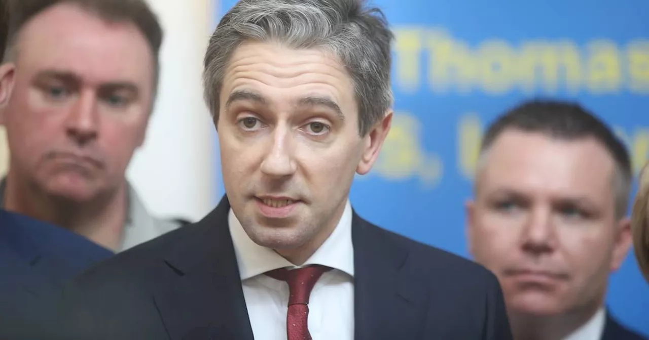 Harris ‘concerned’ about level of garda resources being used on road traffic policing