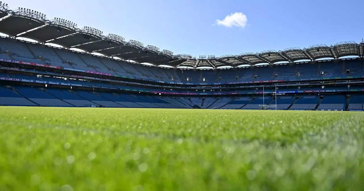 Leinster v Northampton tickets: ECPR lower prices for Croke Park semi-final