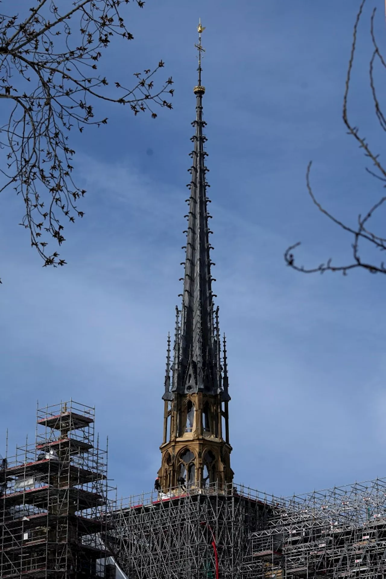 Notre Dame restoration making progress 5 years after fire