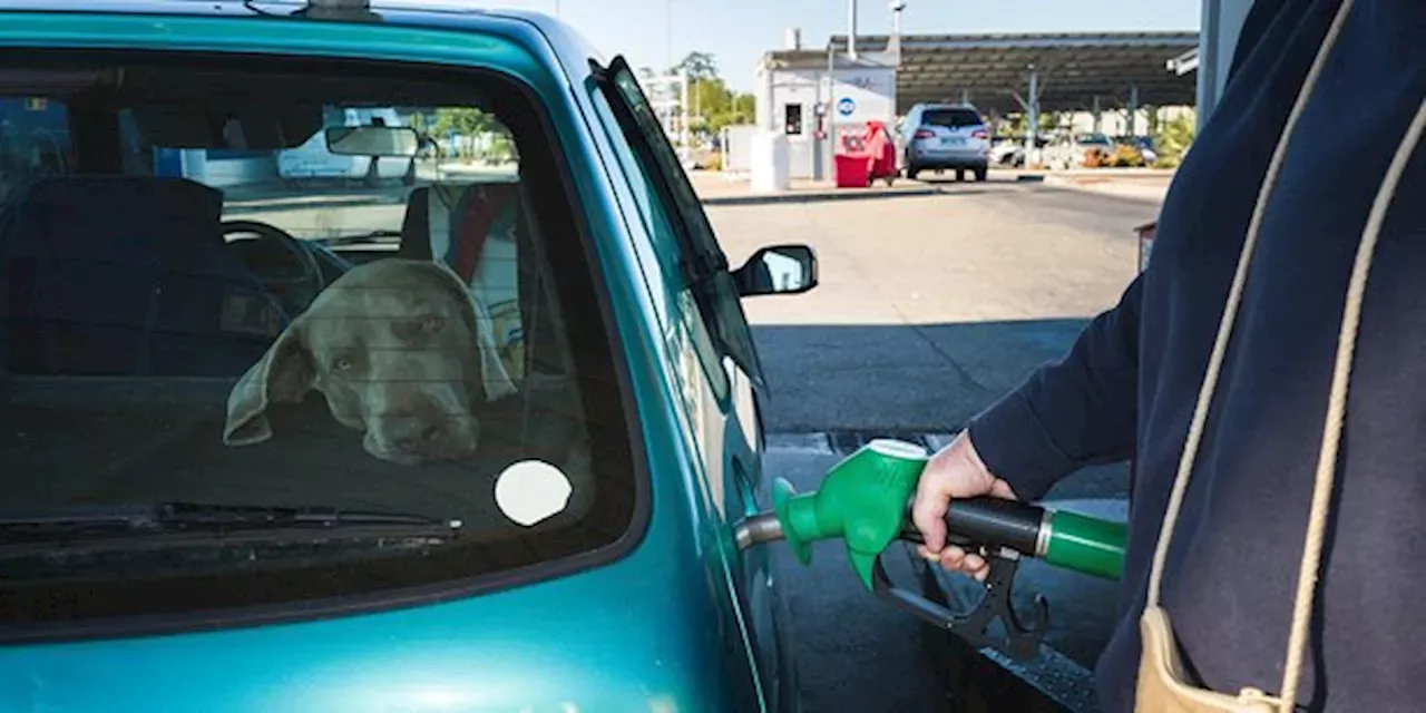 Hausse Des Prix Des Carburants : Les Automobilistes Réclament Un ...