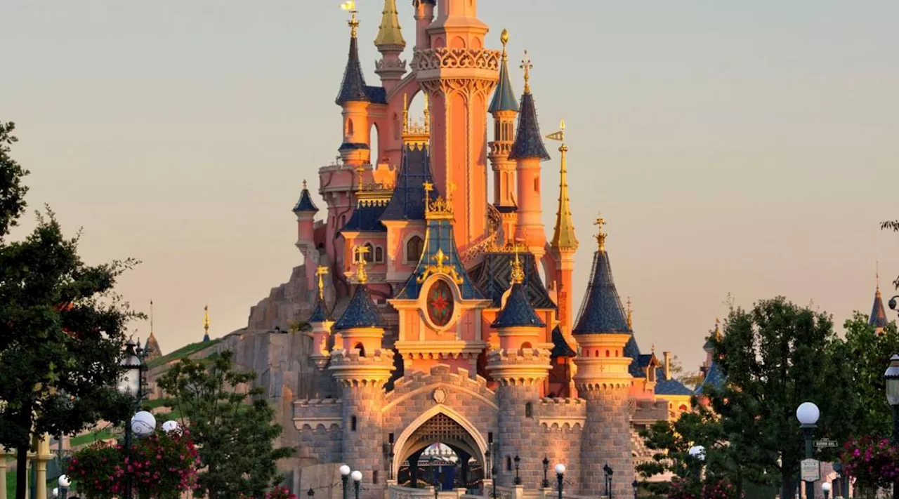 Finge di avere un cancro: mamma raccoglie 10mila euro di donazioni per un viaggio a Disneyland