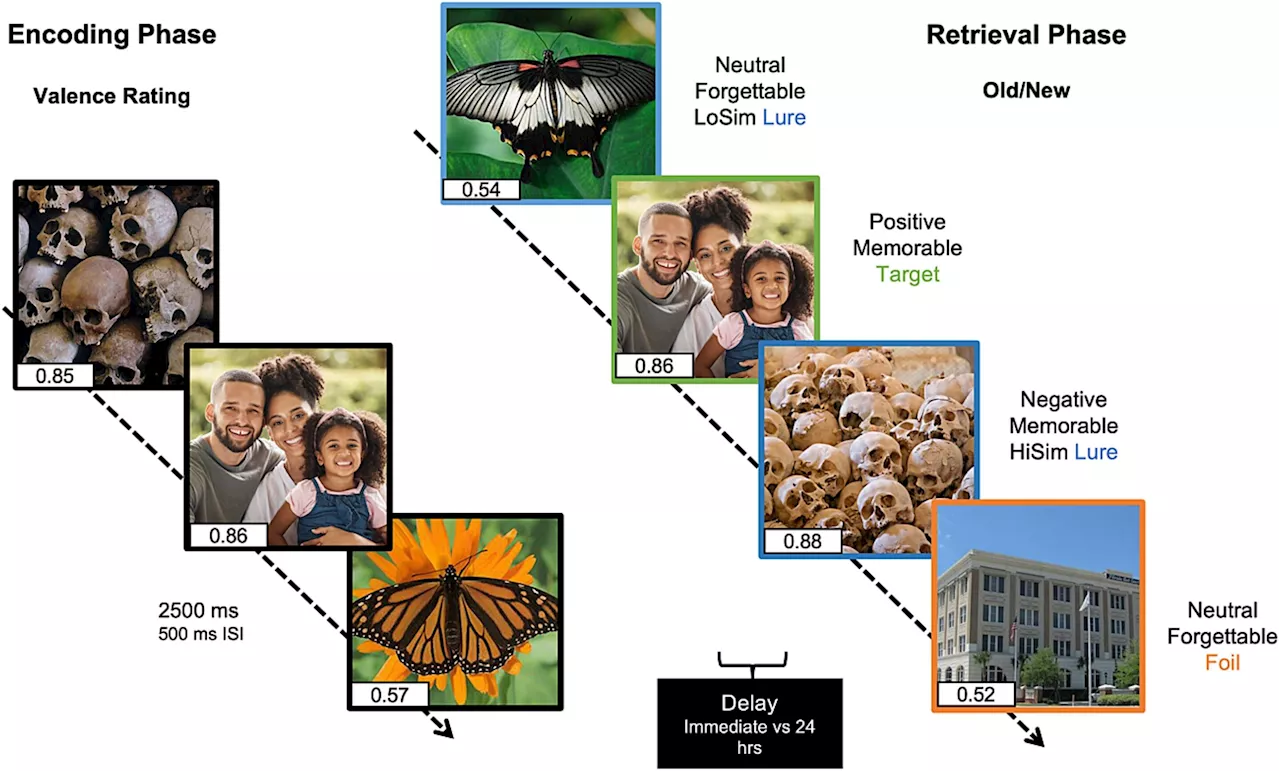 Research explores why we remember what we remember