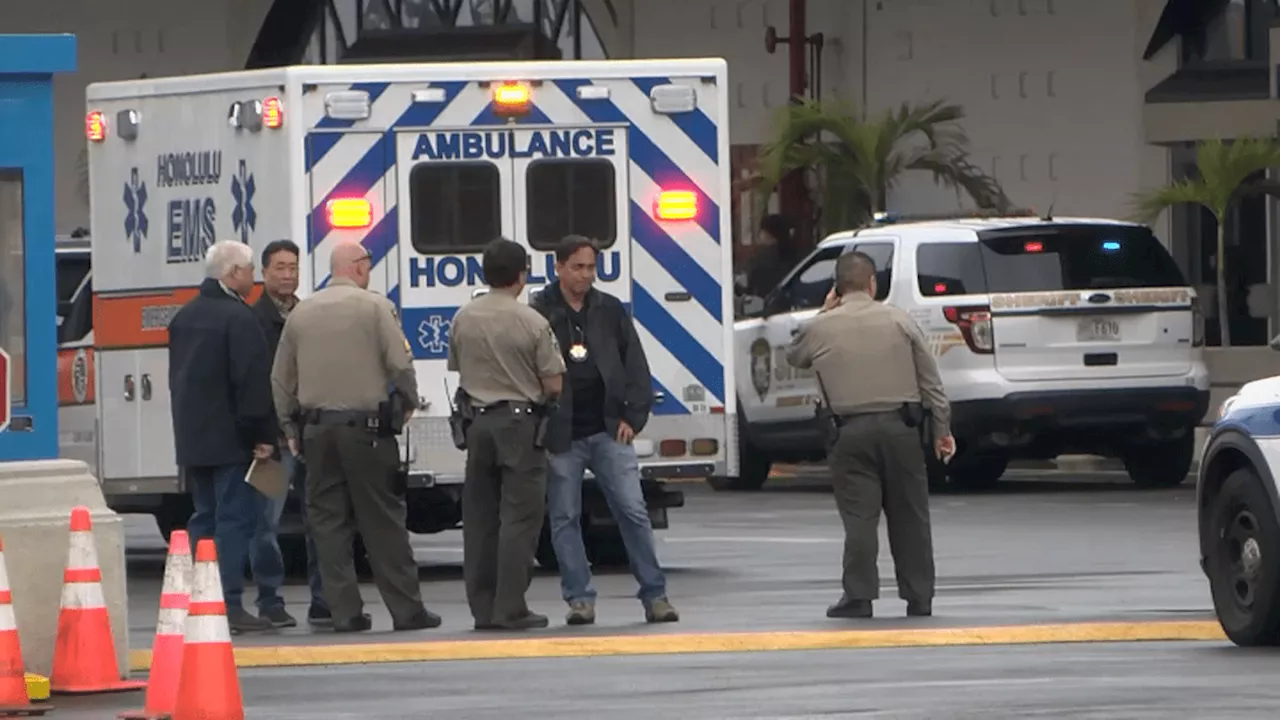 Illinois woman killed, 10 others hurt when shuttle bus strikes group at Honolulu cruise terminal