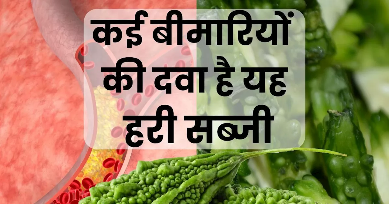 शुगर और कोलेस्ट्रॉल की दुश्मन है ये कड़वी चीज, 3 महीने में बदल जाती है खून की क्वालिटी, ऐसे करें डाइट में श...