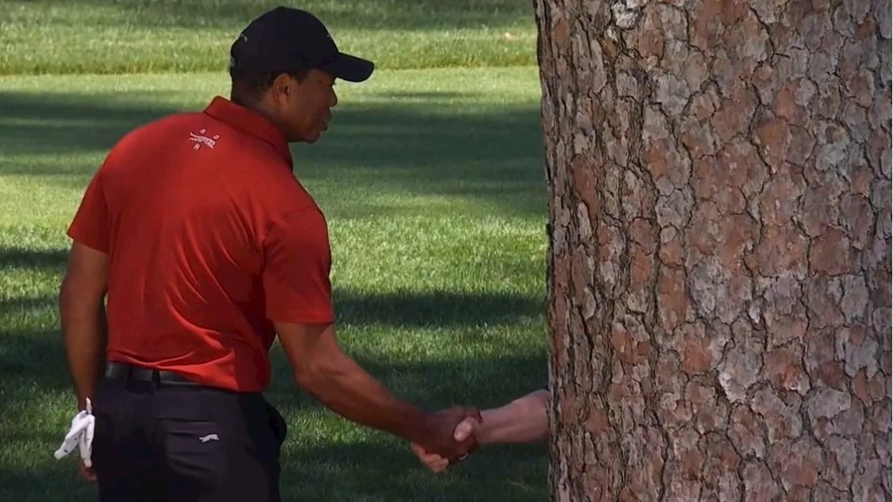 Tiger Woods moment becomes viral meme