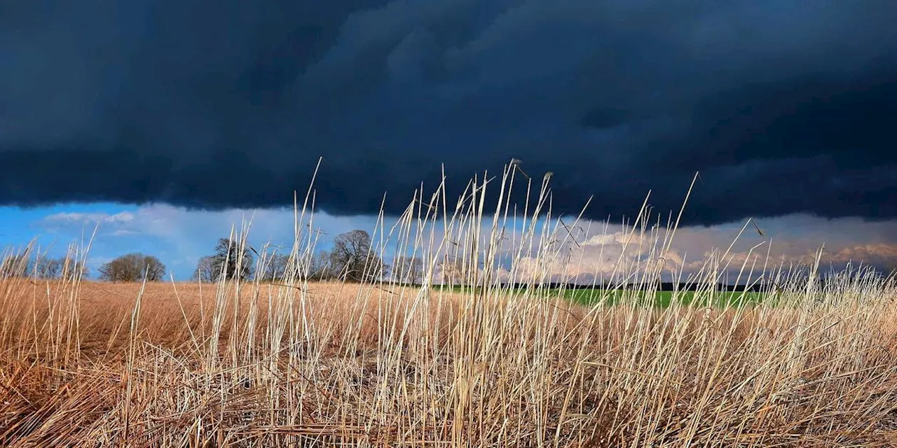 Wetterdienst: Sturmböen und Gewitter erwartet