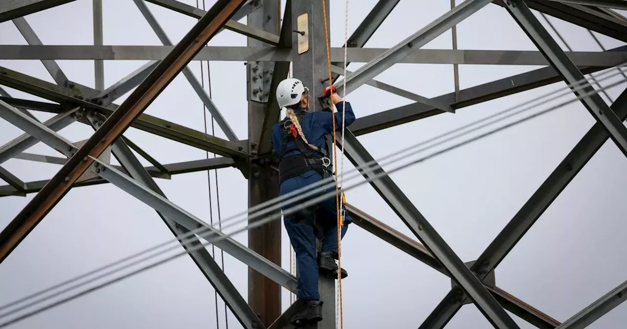 A Glimpse into the Unique Job of Pylon Engineers