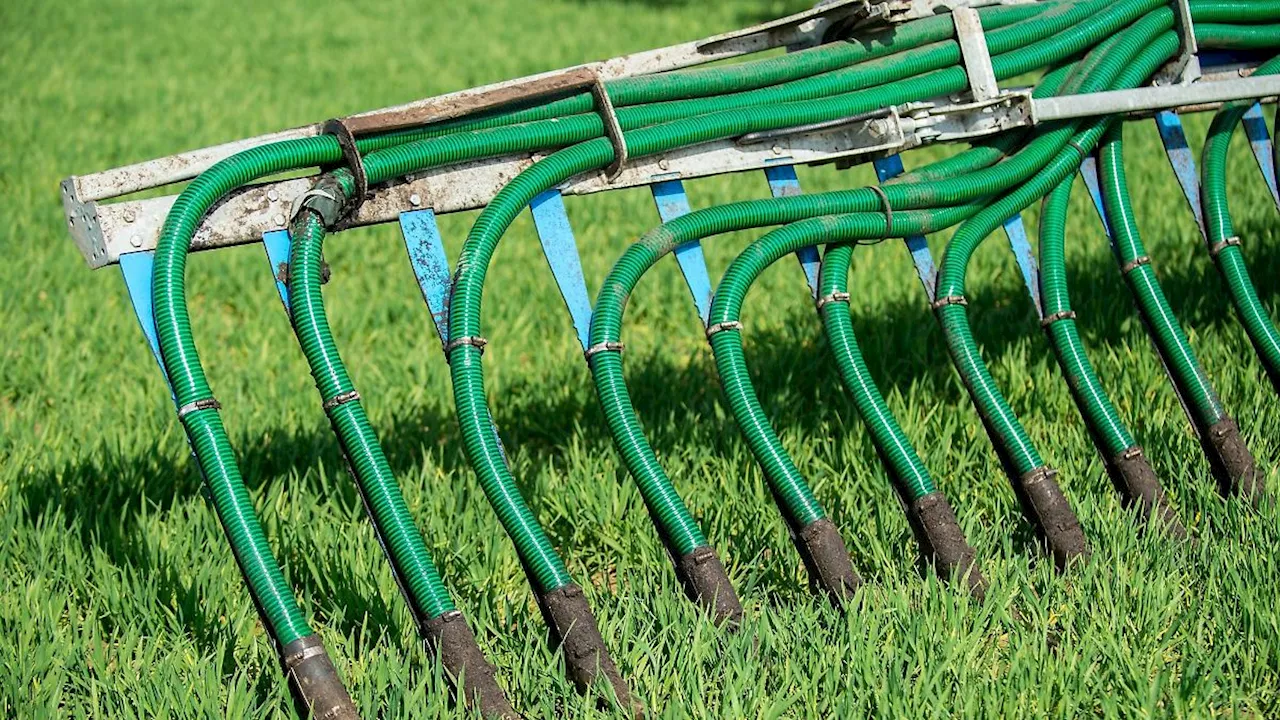 Belastung der Böden und Gewässer in Niedersachsen durch landwirtschaftliche Düngung