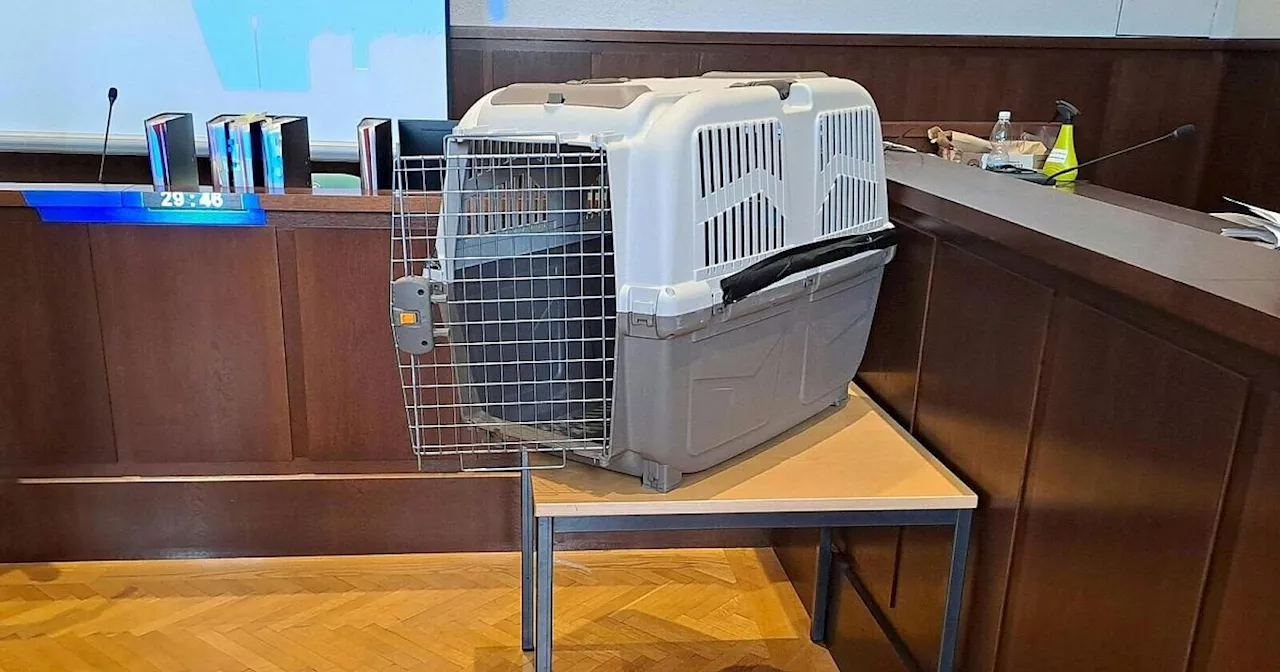 Kind in Hundebox gesperrt: Schmerzensgeld vom Land verlangt