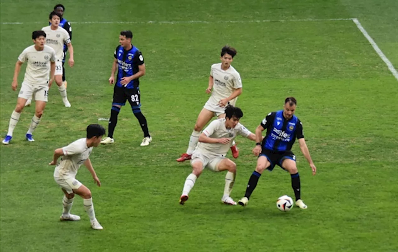 대구 FC 천금의 동점골 '요시노', 최원권 감독에게 안기다