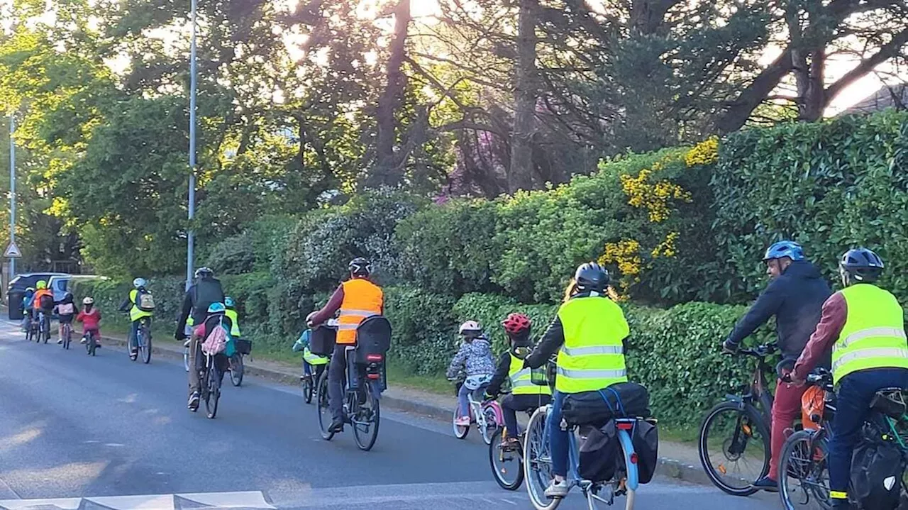 À Bouchemaine, un vélobus pour aller à l’école