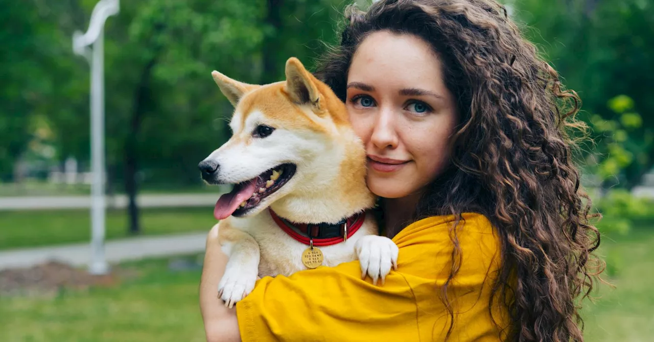 Dog Owners Can Recognize Their Dog's Scent, Study Finds