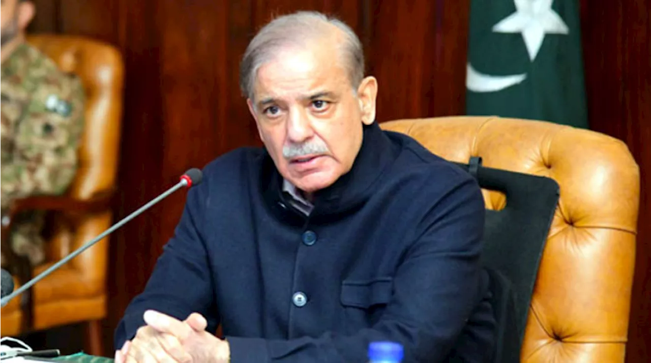 PM Chairs Meeting On Power Sector: Shehbaz For Renewable Energy Resources