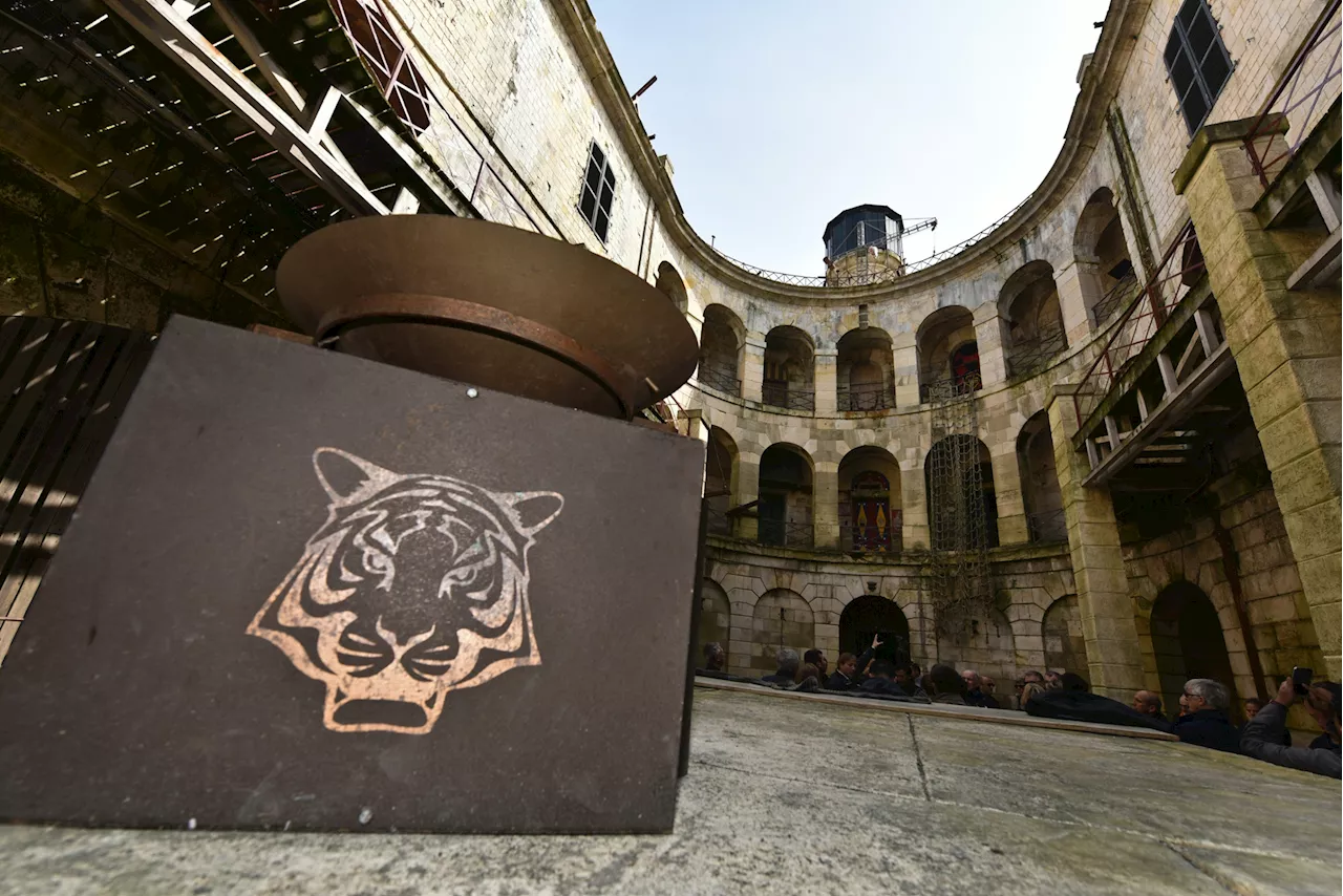 À Fort Boyard, l'étonnante raison pour laquelle tous les tigres étaient des tigresses