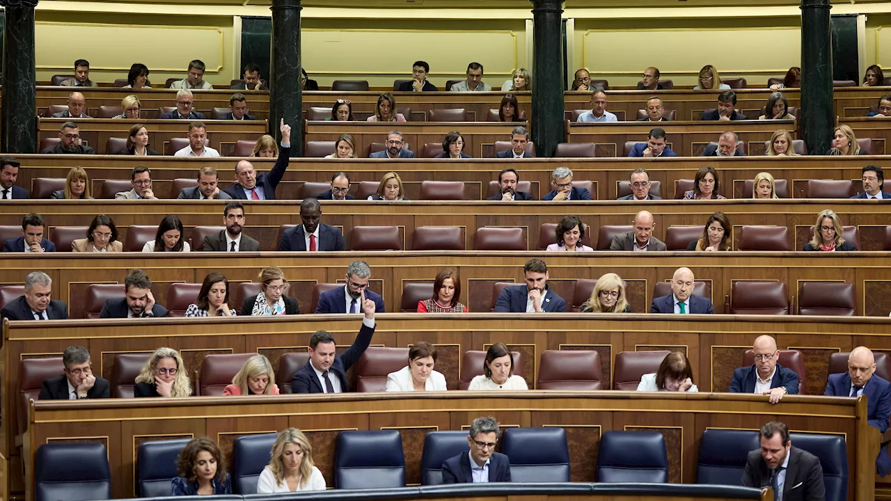 Los letrados del Congreso rechazarán por 'improcedente' el requerimiento planteado por el Senado contra la amnistía