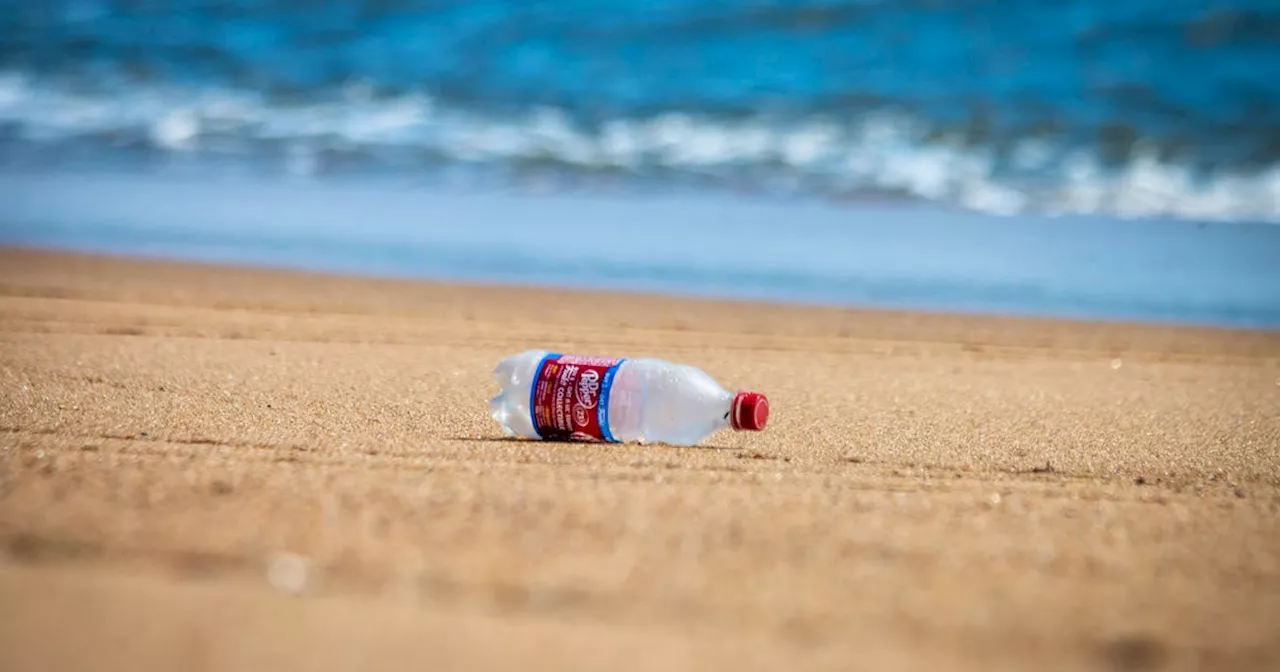 BRIAN HODDER: We need to make a difference in the environment every day, not just Earth Day