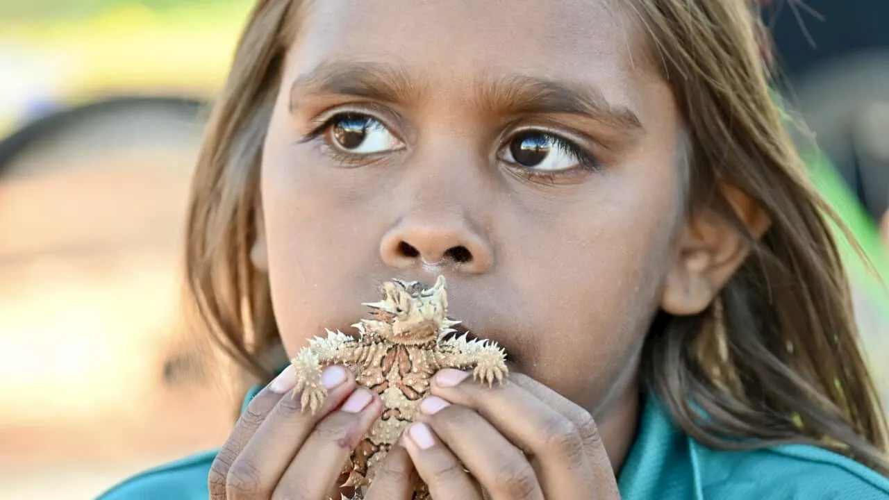 Parks, bike paths and tiny treasures: Alice Springs' services call for a focus on funding families