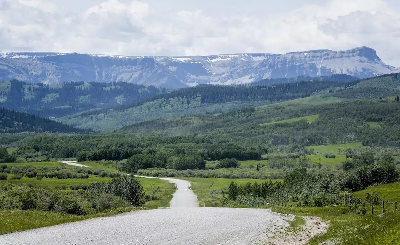 Judge orders Alberta to produce massive trove of coal documents after four-year fight