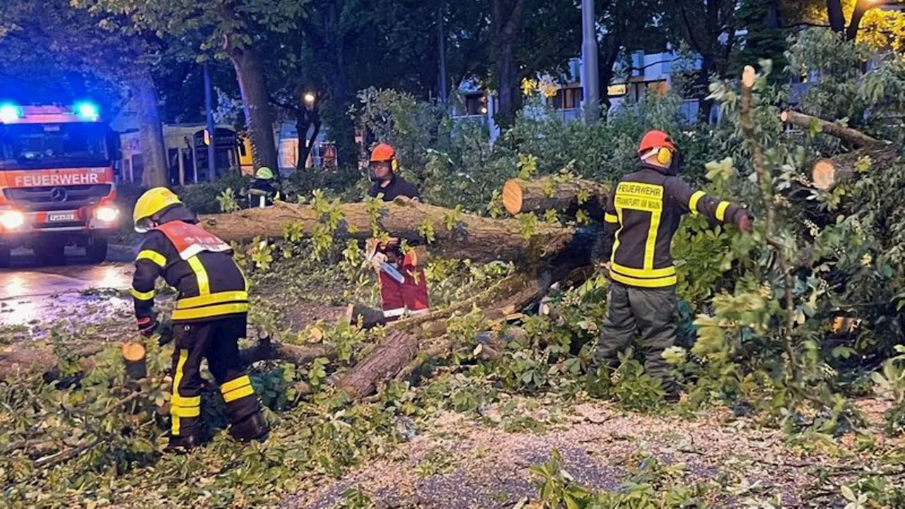 Unwetter: Bahnverkehr in der Mitte Deutschlands eingeschränkt