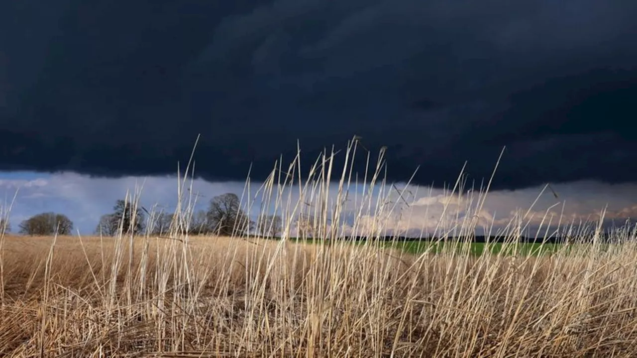 Wetter: Sturmböen und Gewitter: Bahnverkehr eingeschränkt