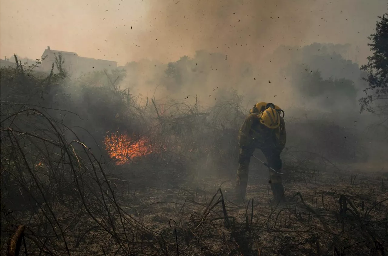 Espagne : un incendie ravage 500 hectares après des températures anormalement élevées